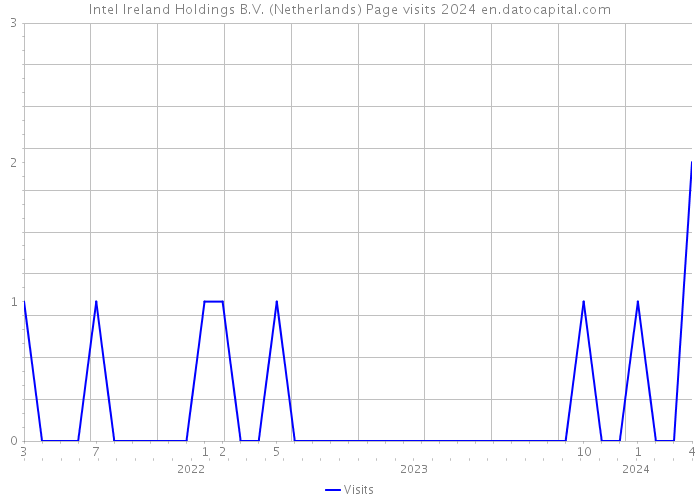 Intel Ireland Holdings B.V. (Netherlands) Page visits 2024 