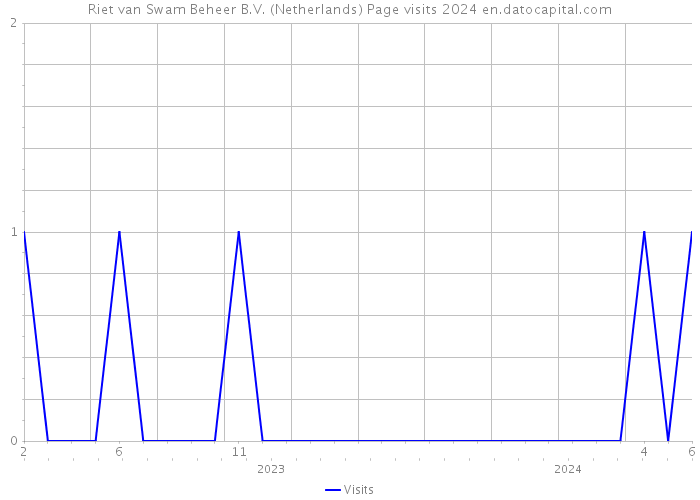 Riet van Swam Beheer B.V. (Netherlands) Page visits 2024 