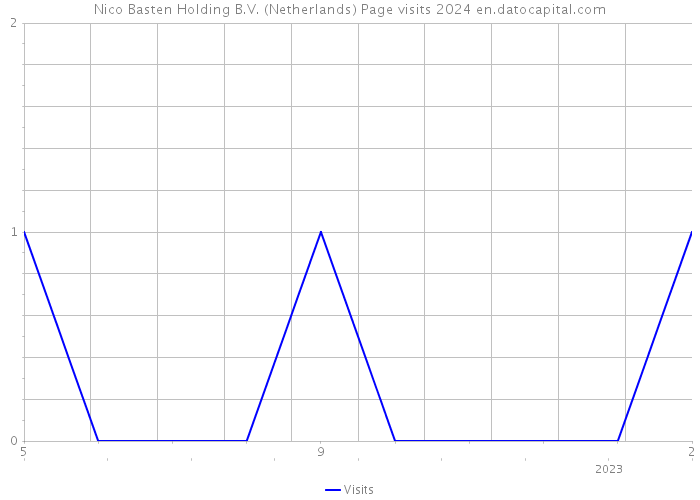 Nico Basten Holding B.V. (Netherlands) Page visits 2024 