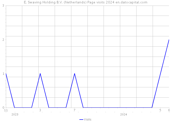E. Swaving Holding B.V. (Netherlands) Page visits 2024 
