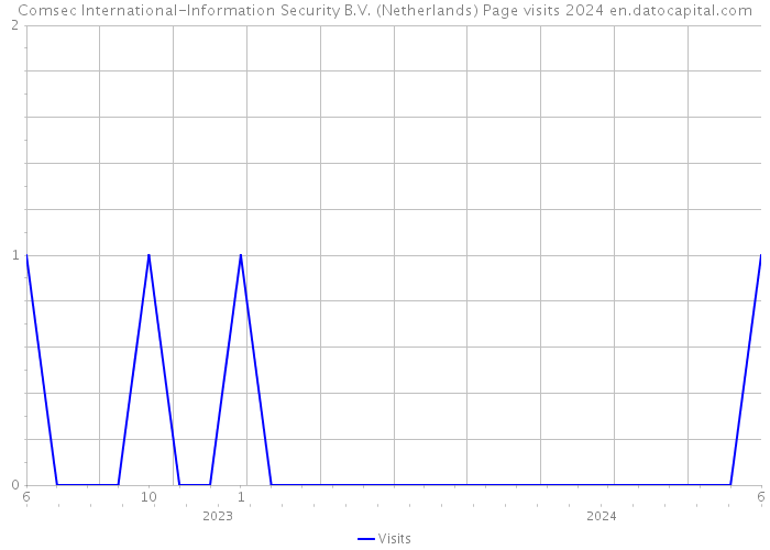 Comsec International-Information Security B.V. (Netherlands) Page visits 2024 