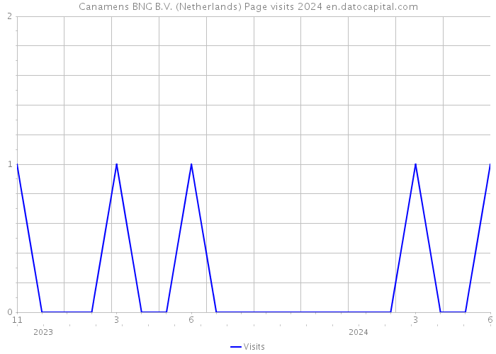 Canamens BNG B.V. (Netherlands) Page visits 2024 