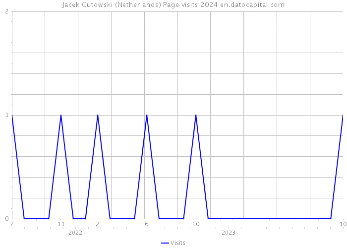 Jacek Gutowski (Netherlands) Page visits 2024 