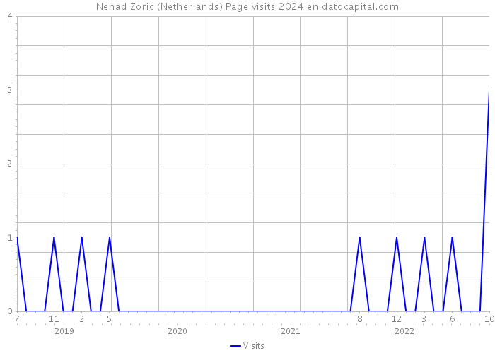 Nenad Zoric (Netherlands) Page visits 2024 