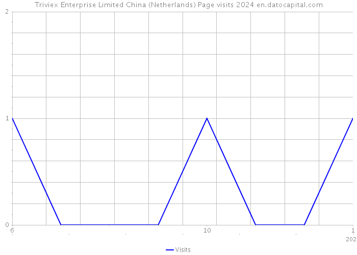 Triviex Enterprise Limited China (Netherlands) Page visits 2024 