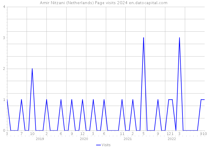 Amir Nitzani (Netherlands) Page visits 2024 