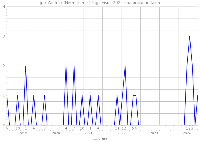 Igor Wollner (Netherlands) Page visits 2024 