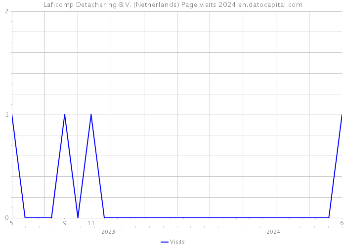 Laficomp Detachering B.V. (Netherlands) Page visits 2024 
