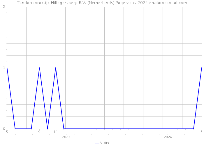 Tandartspraktijk Hillegersberg B.V. (Netherlands) Page visits 2024 