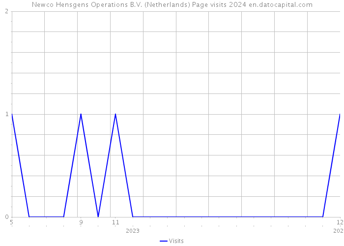 Newco Hensgens Operations B.V. (Netherlands) Page visits 2024 