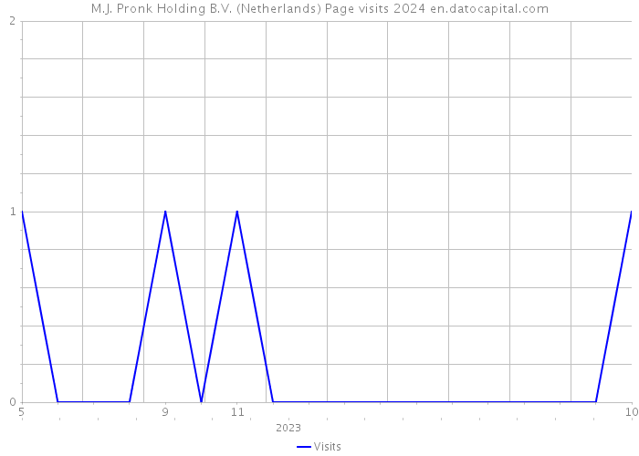 M.J. Pronk Holding B.V. (Netherlands) Page visits 2024 