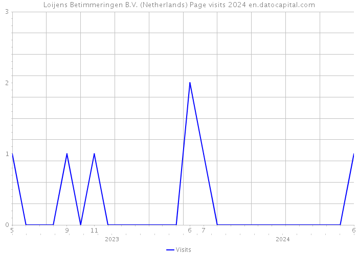 Loijens Betimmeringen B.V. (Netherlands) Page visits 2024 