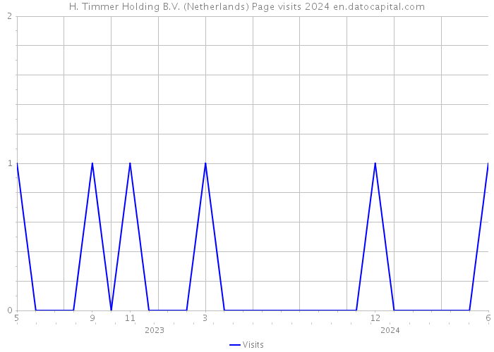 H. Timmer Holding B.V. (Netherlands) Page visits 2024 