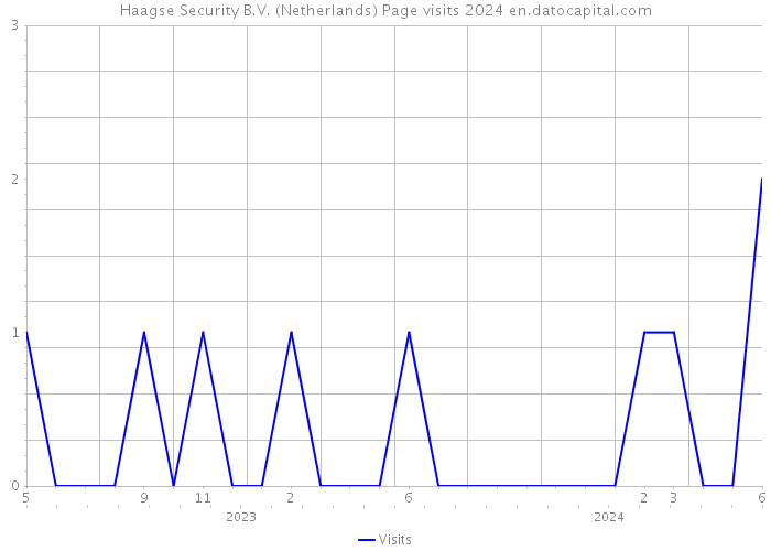 Haagse Security B.V. (Netherlands) Page visits 2024 