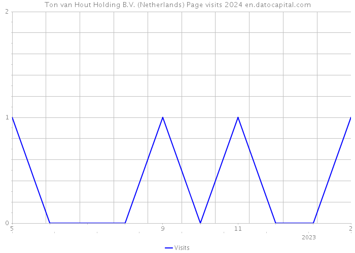 Ton van Hout Holding B.V. (Netherlands) Page visits 2024 