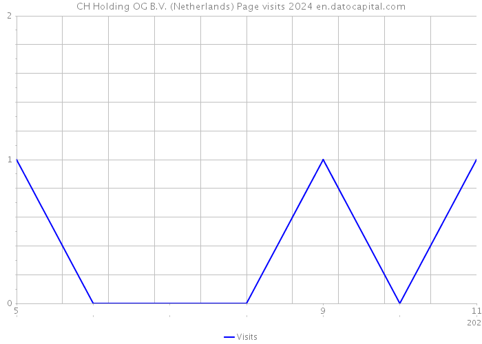 CH Holding OG B.V. (Netherlands) Page visits 2024 
