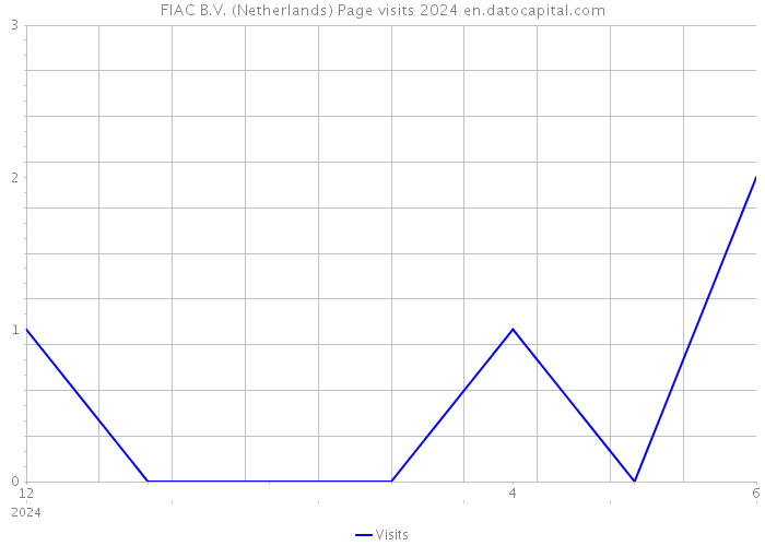 FIAC B.V. (Netherlands) Page visits 2024 