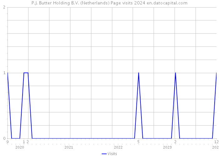 P.J. Butter Holding B.V. (Netherlands) Page visits 2024 