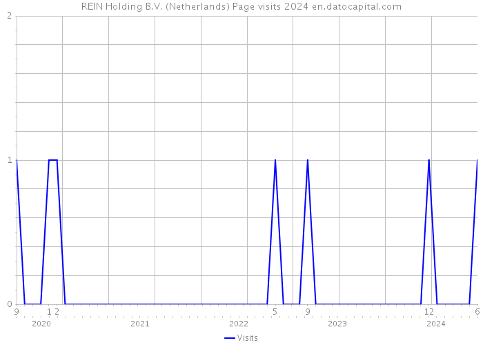 REIN Holding B.V. (Netherlands) Page visits 2024 