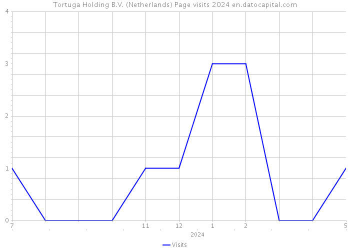 Tortuga Holding B.V. (Netherlands) Page visits 2024 