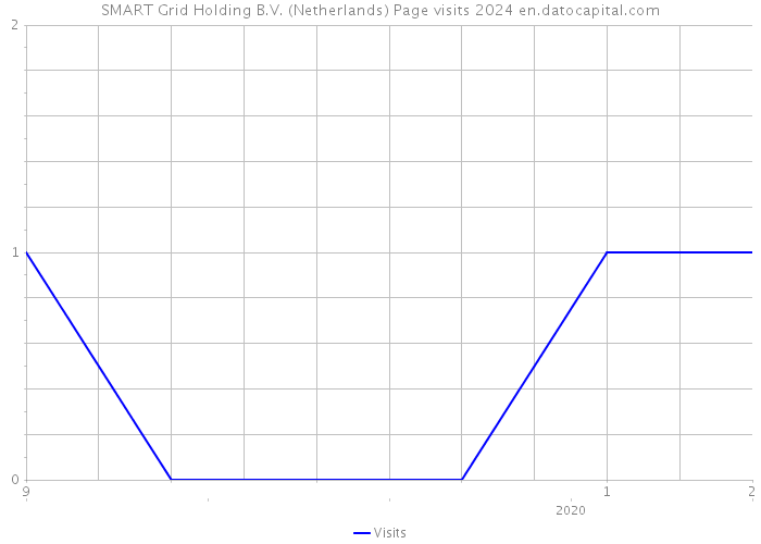 SMART Grid Holding B.V. (Netherlands) Page visits 2024 