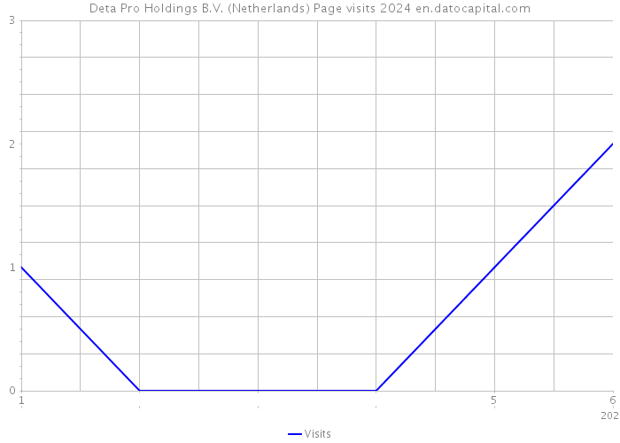 Deta Pro Holdings B.V. (Netherlands) Page visits 2024 