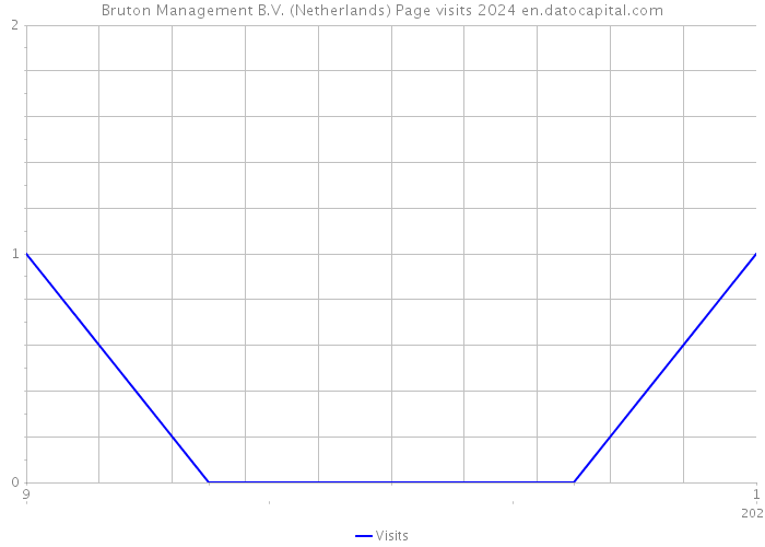 Bruton Management B.V. (Netherlands) Page visits 2024 