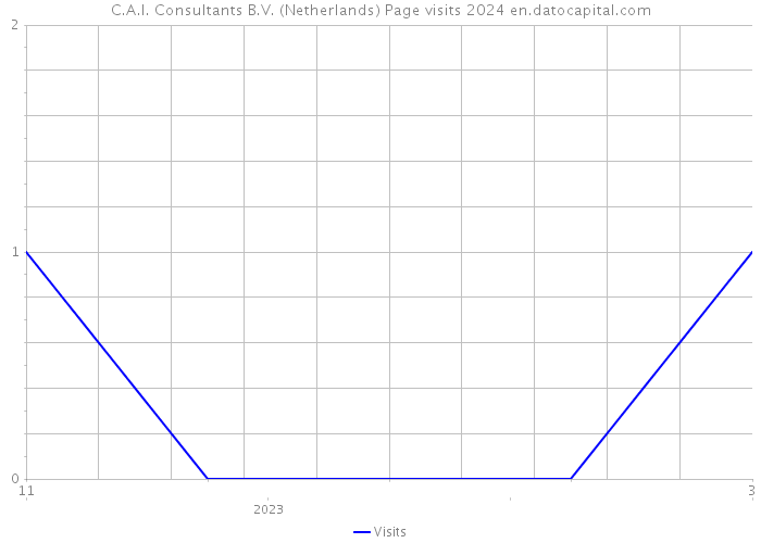 C.A.I. Consultants B.V. (Netherlands) Page visits 2024 