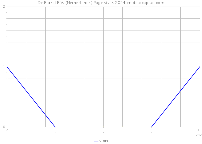 De Borrel B.V. (Netherlands) Page visits 2024 