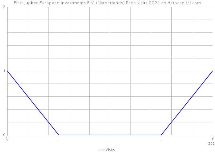 First Jupiter European Investments B.V. (Netherlands) Page visits 2024 