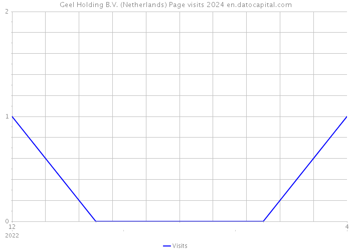Geel Holding B.V. (Netherlands) Page visits 2024 