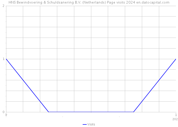 HNS Bewindvoering & Schuldsanering B.V. (Netherlands) Page visits 2024 