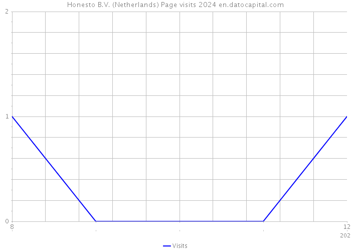 Honesto B.V. (Netherlands) Page visits 2024 