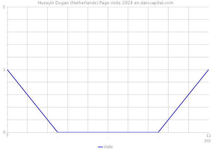 Huseyin Dogan (Netherlands) Page visits 2024 
