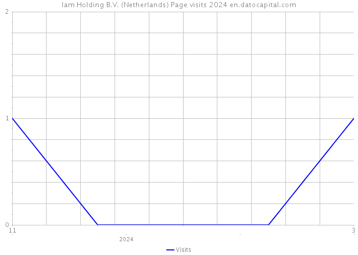 Iam Holding B.V. (Netherlands) Page visits 2024 