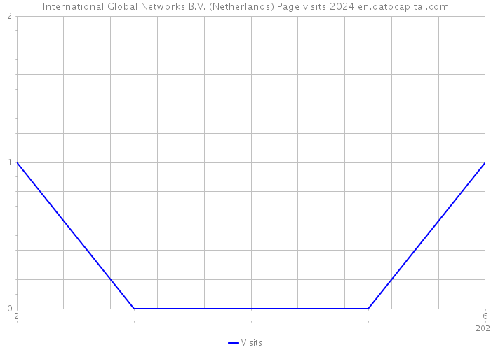 International Global Networks B.V. (Netherlands) Page visits 2024 