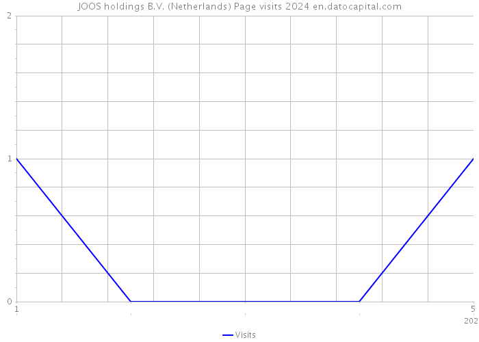JOOS holdings B.V. (Netherlands) Page visits 2024 