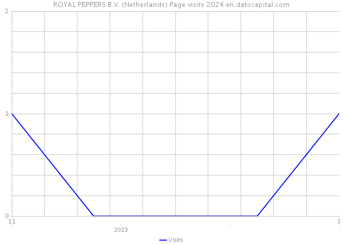 ROYAL PEPPERS B.V. (Netherlands) Page visits 2024 