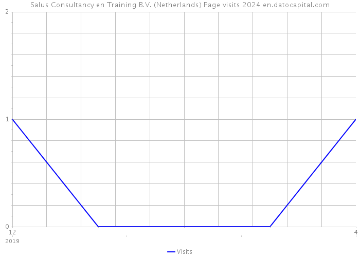 Salus Consultancy en Training B.V. (Netherlands) Page visits 2024 