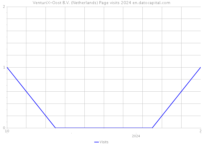 VenturiX-Oost B.V. (Netherlands) Page visits 2024 