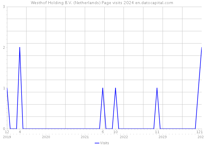 Westhof Holding B.V. (Netherlands) Page visits 2024 