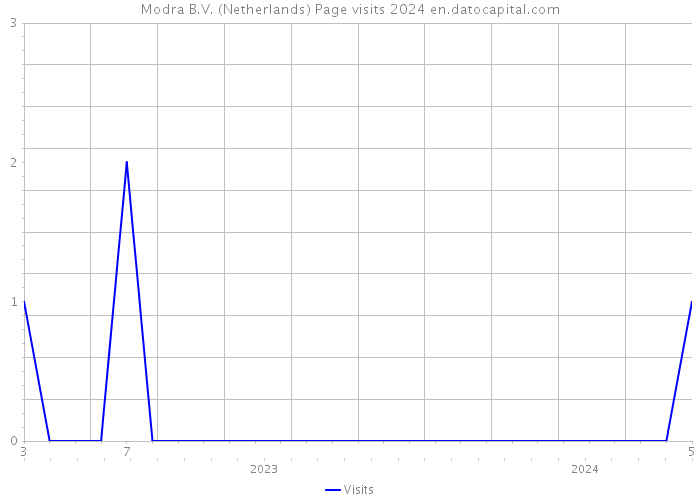 Modra B.V. (Netherlands) Page visits 2024 