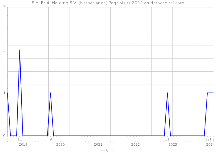 B.H. Bruil Holding B.V. (Netherlands) Page visits 2024 