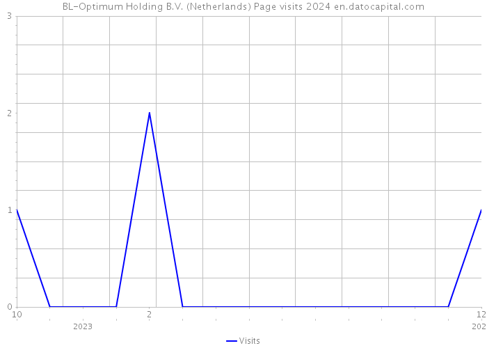 BL-Optimum Holding B.V. (Netherlands) Page visits 2024 
