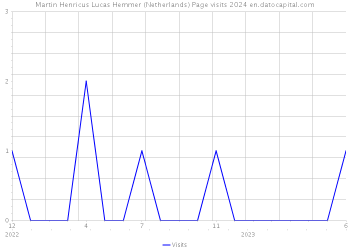 Martin Henricus Lucas Hemmer (Netherlands) Page visits 2024 