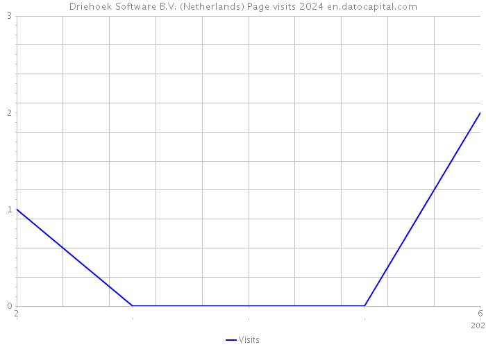 Driehoek Software B.V. (Netherlands) Page visits 2024 