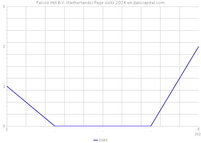 Falcon Hill B.V. (Netherlands) Page visits 2024 