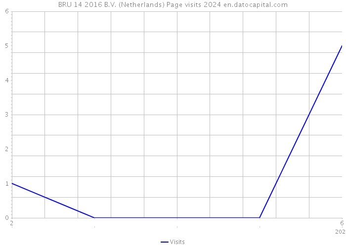 BRU 14 2016 B.V. (Netherlands) Page visits 2024 