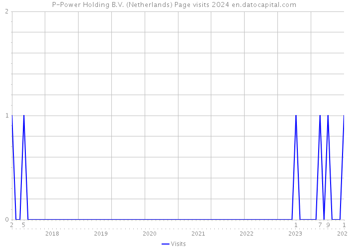 P-Power Holding B.V. (Netherlands) Page visits 2024 