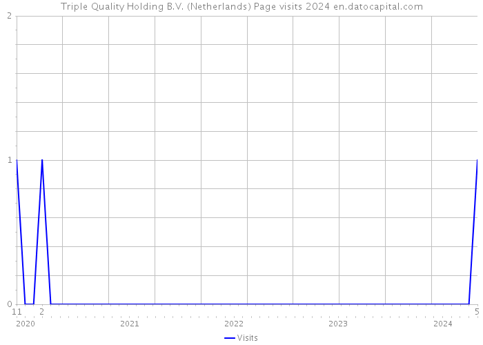 Triple Quality Holding B.V. (Netherlands) Page visits 2024 